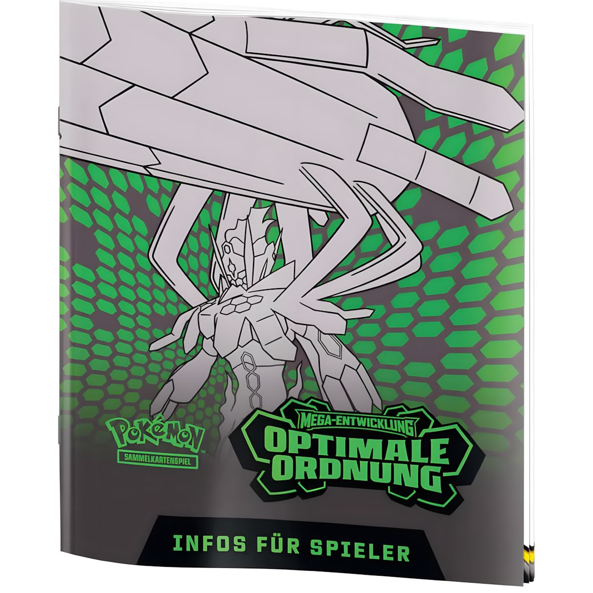 ME03 Top Trainer Box Optimal Organization
